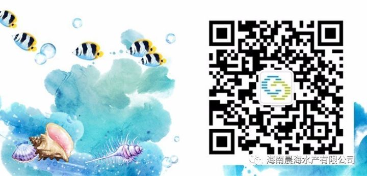 1559448444475590.jpg 圖4.jpg