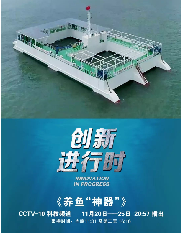 風(fēng)再猛、浪再大，都攔不住我養(yǎng)魚的雄心！